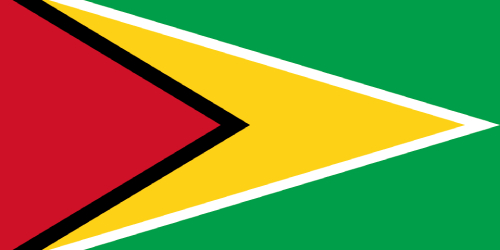 Грузоперевозки из России в Гайану Грузоперевозки из России в Гайану